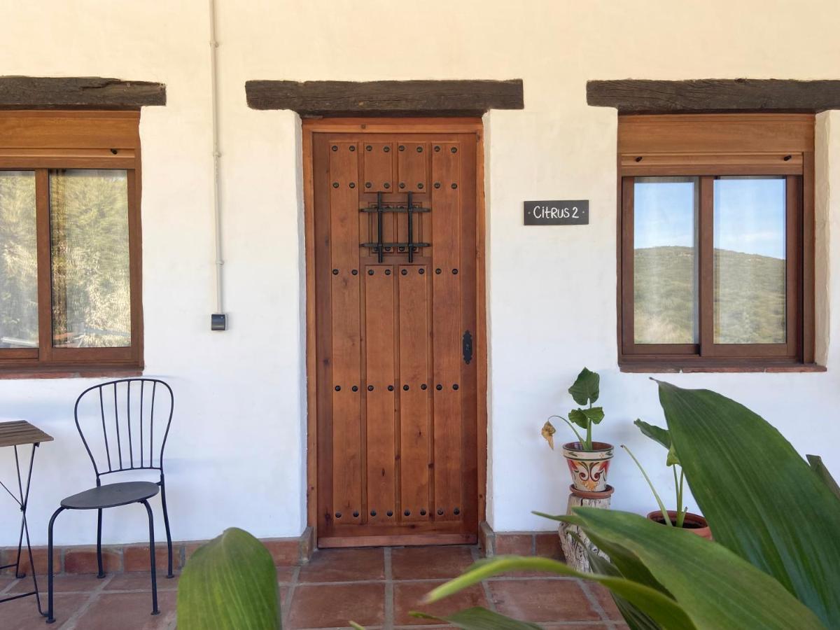 The Wild Olive Andalucia Citrus Suite Касарес Экстерьер фото